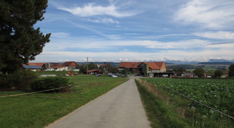 Blick auf Cremin im Kanton Waadt mit ländlicher Umgebung