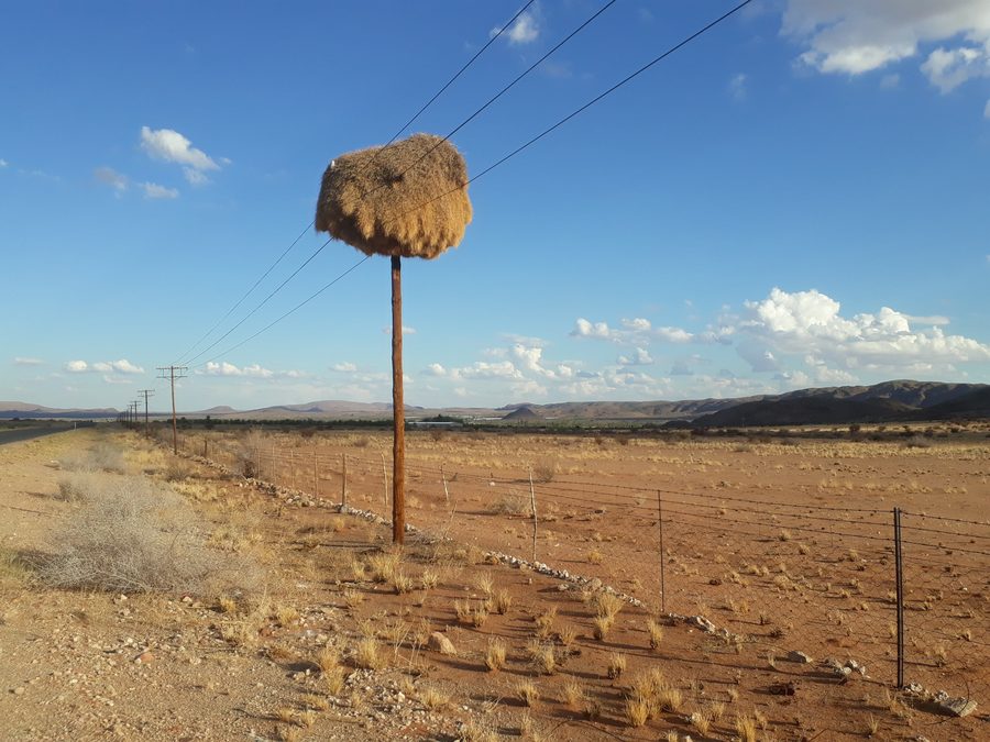 A road leads westward through the South African landscape.