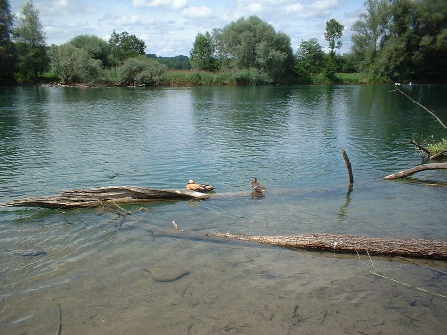 Flachsee in the canton of Aargau