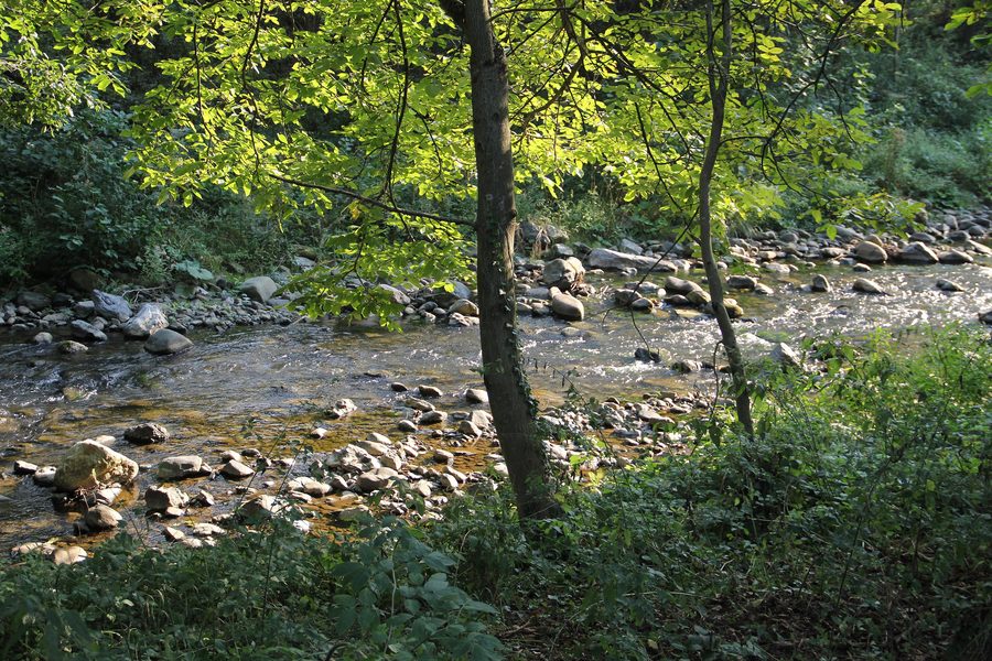 Dorf Lopatnica in einer bergigen Landschaft bei Kraljevo in Serbien