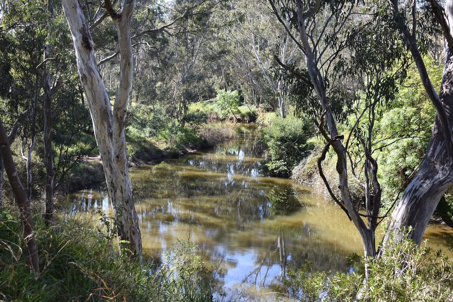 Maribyrnong River near Keilor in Victoria