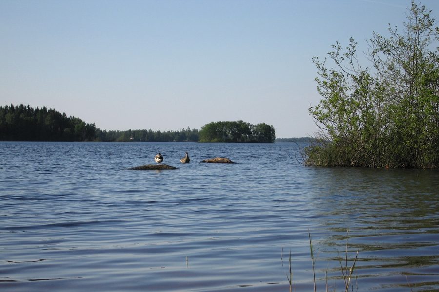 Lake Möckeln near Älmhult in Småland
