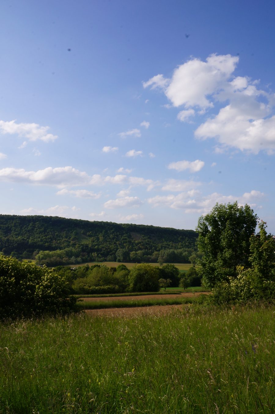 View of the Enz Valley between Niefern and Mühlacker in the Enzkreis district