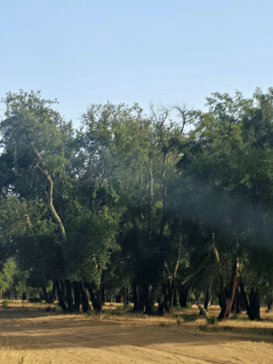 General view of Sidi Allal El Bahraoui