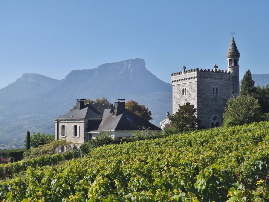 File:Clos Saint-Anthelme (Chignin).JPG