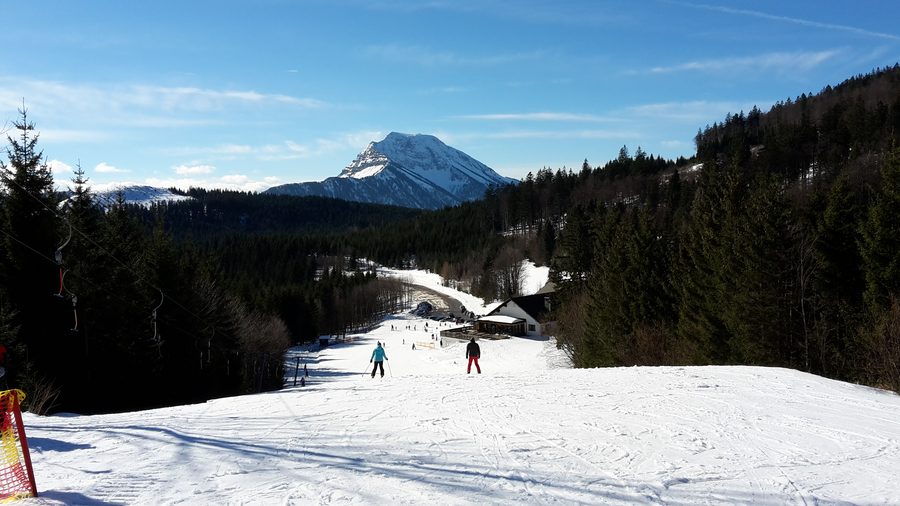 View from Turmkogel near Puchenstuben across the wooded mountain landscape with the Ötscher in the background