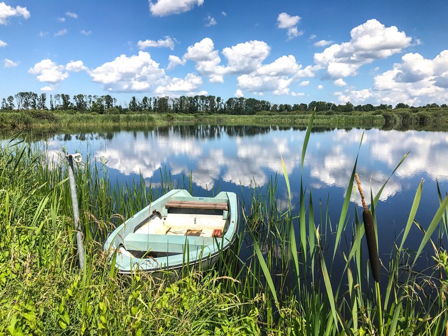 Grenztalmoor near Tribsees in Mecklenburg-Vorpommern