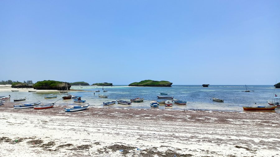 Watamu Beach with a bright sandy shoreline and a view of the Indian Ocean in Kenya