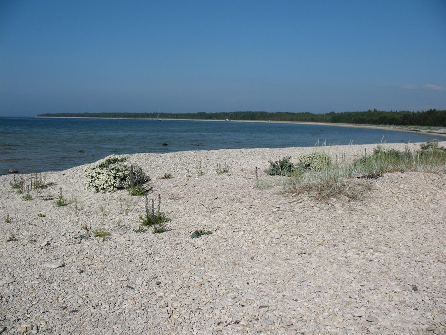 Coastal landscape at Alliklepa Bay