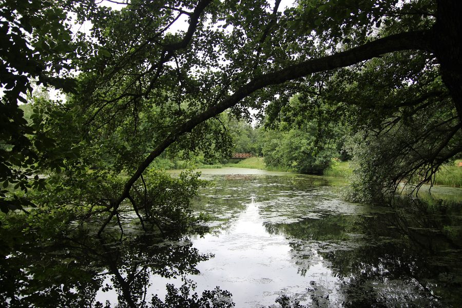 Wasserfläche und Grünanlage Trzy Stawy in Tychy
