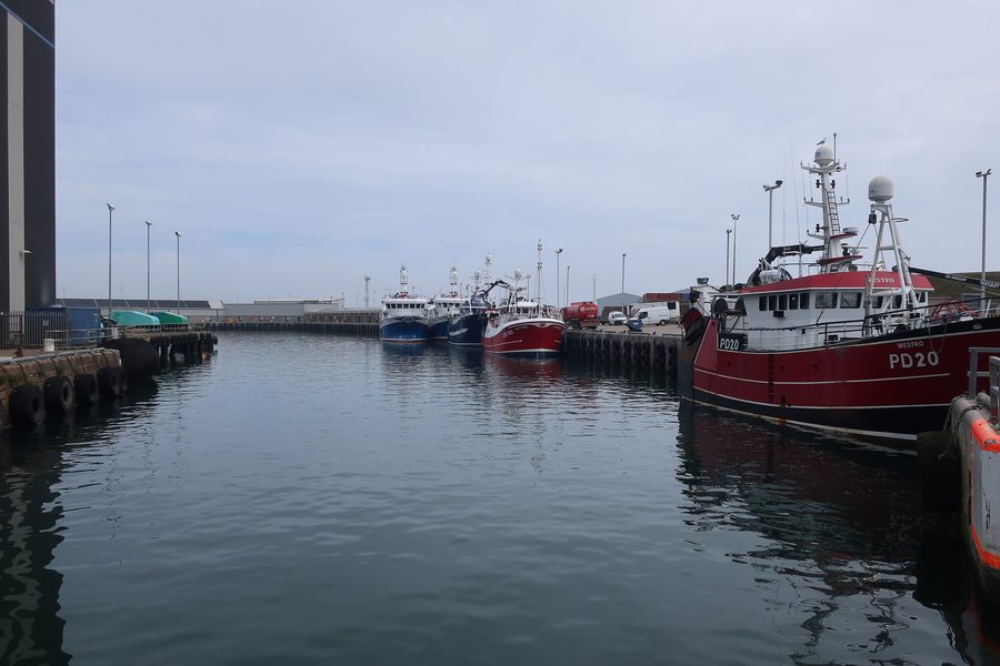 Fischerboote im Hafen von Peterhead