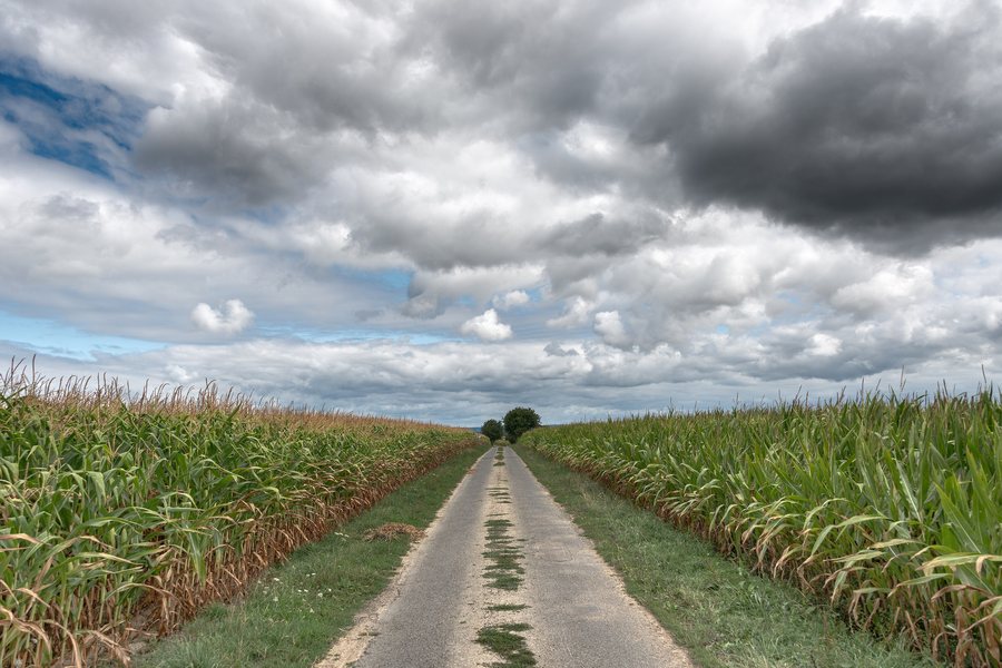 File:Country Road - La Croix-Avranchin, France - August 14, 2018 01.jpg