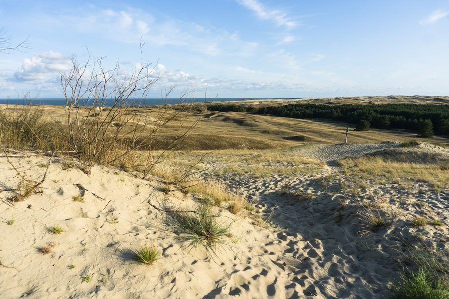 Dune landscape on the Curonian Spit on Lithuania’s Baltic coast
