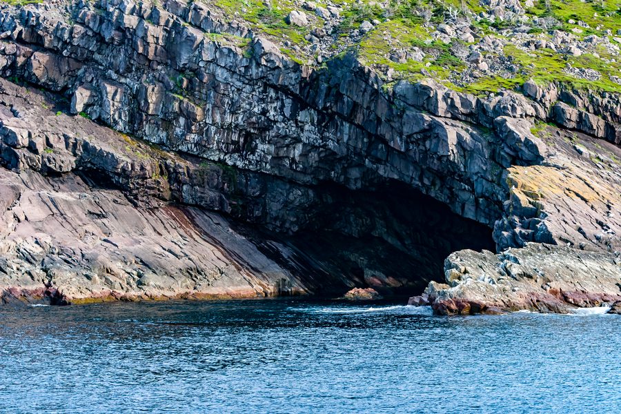 Rocky coastline with sea and seabirds on the Avalon Peninsula near St. John's