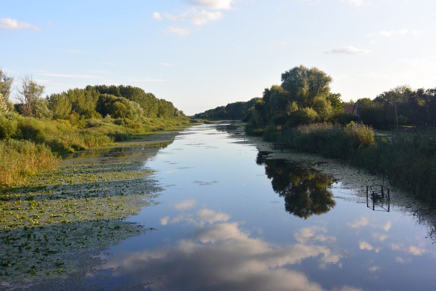 The Ferenc Canal near Dávod between Dávod and Dávod-Püspökpuszta