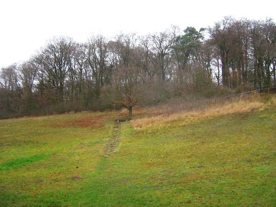 File:Burg-Schanzenberg-29-11-2009-018.jpg