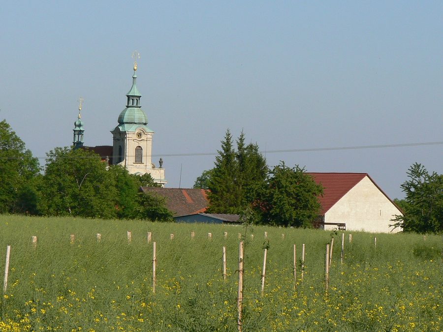 Church of St. Wenceslas in the village of Vysoká in the Mělník District