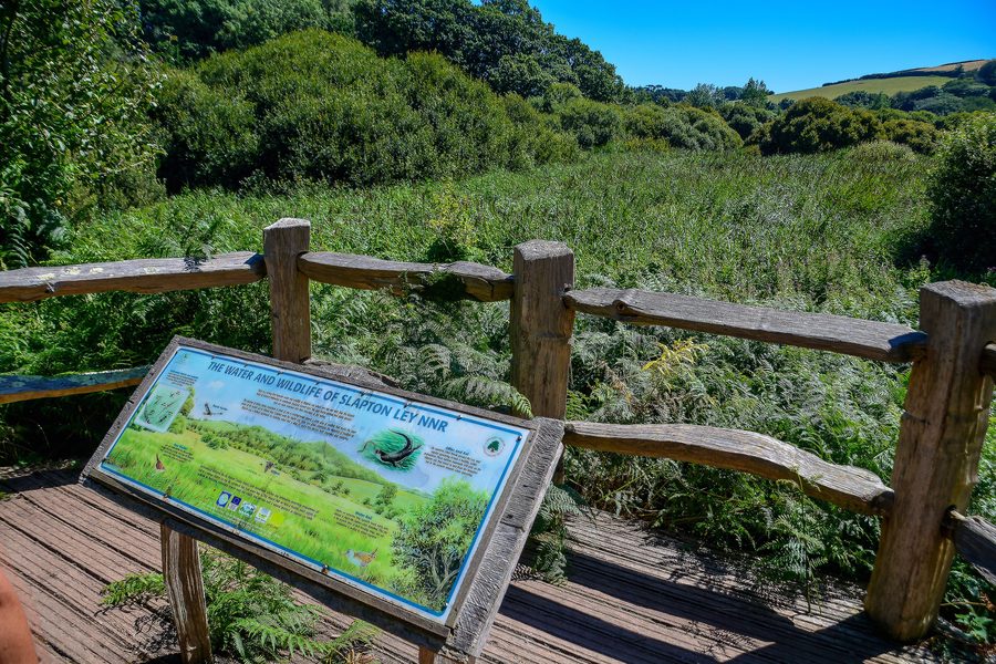 Landscape of Slapton Ley National Nature Reserve near Slapton