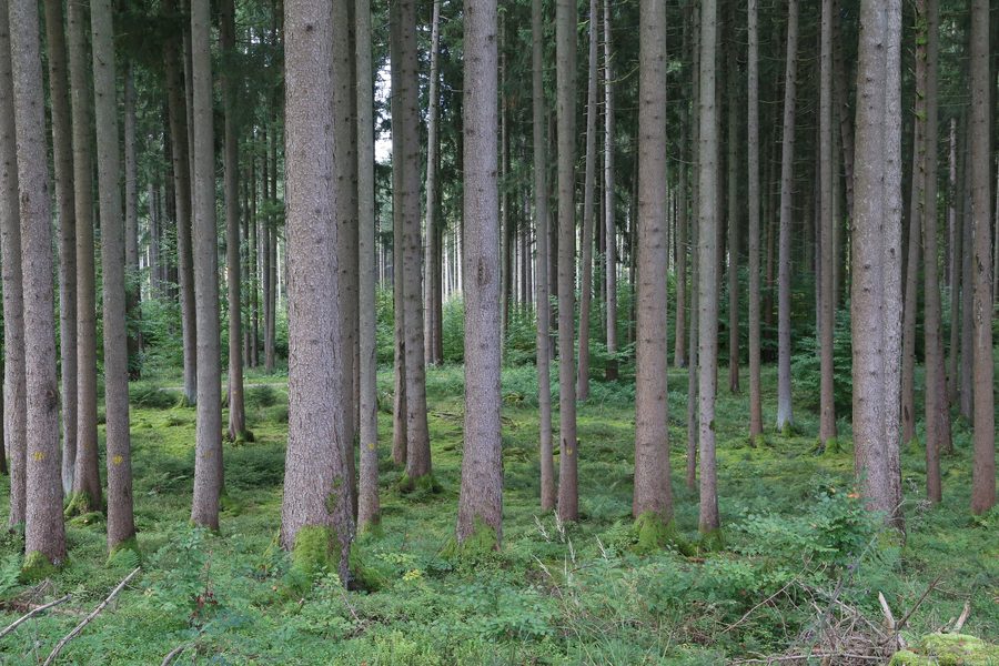 Landschaftsschutzlandschaft Toteiskessellandschaft Kastenseeon im Gemeindegebiet Egmating