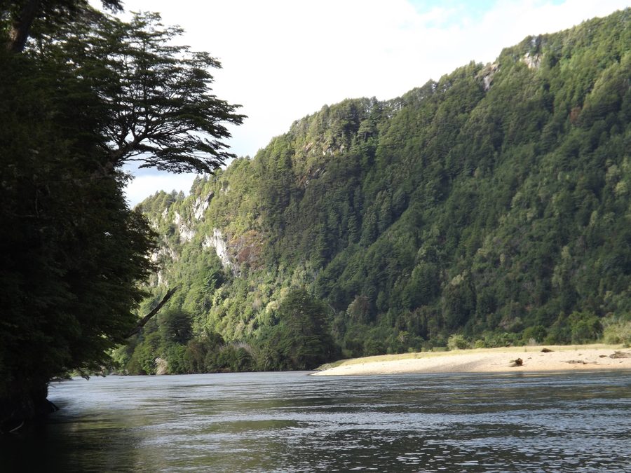 The Río Blanco near Puerto Aysén in Chile