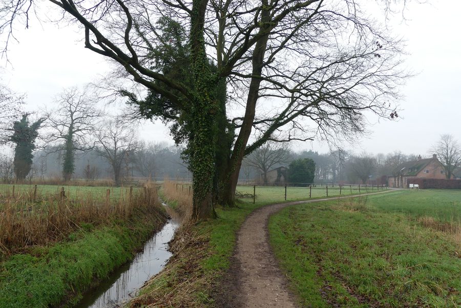 Buitengebied van Chaam in Alphen-Chaam