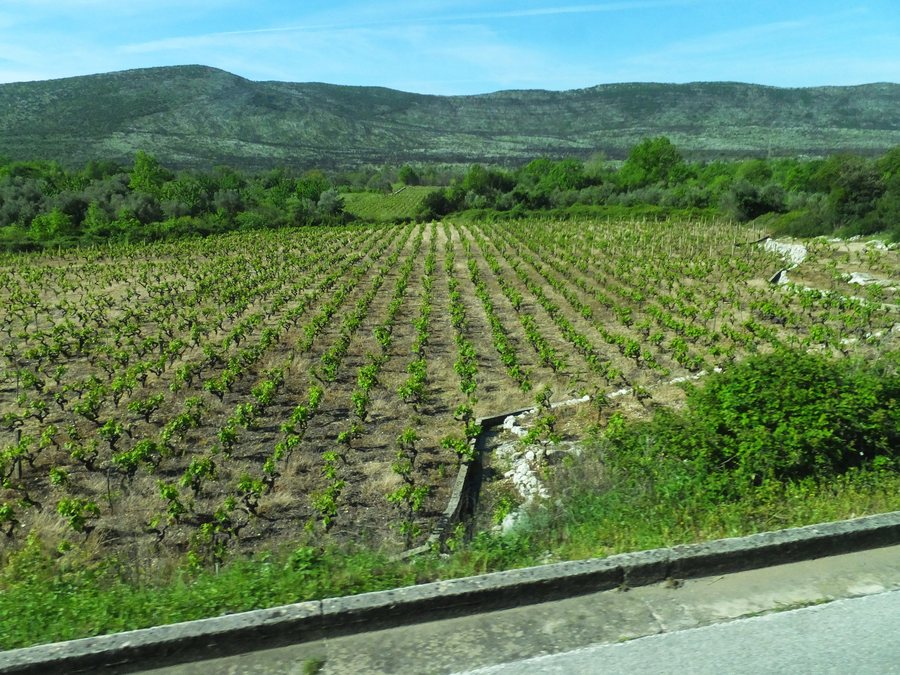 File:Metohija - panoramio.jpg