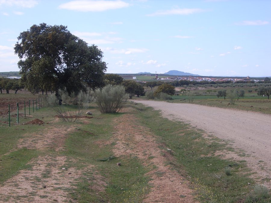 File:Camino a Trujillanos - panoramio.jpg