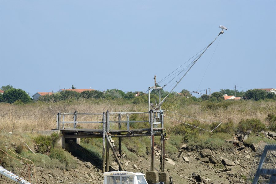 File:Carrelets sur la route D 126 entre Boyardville et Sauzelle (1).JPG