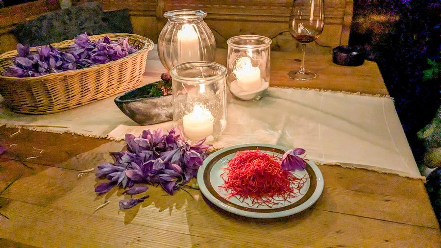 Fresh saffron threads from Mund in Valais