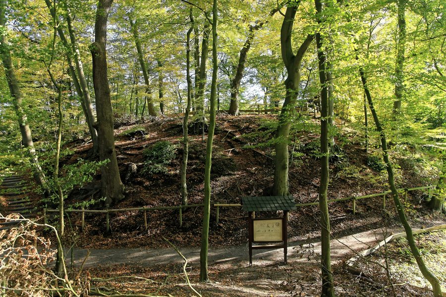Mound 1 of Elmendorf Castle in the Dreibergen nature reserve