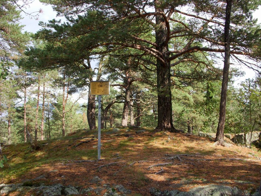 Bronze Age burial mound on the Hallunda culture trail in Botkyrka