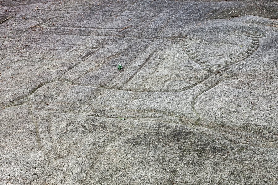 File:Petróglifo. Laxe dos carballos. Parque arqueolóxico de Campo Lameiro CL05.jpg