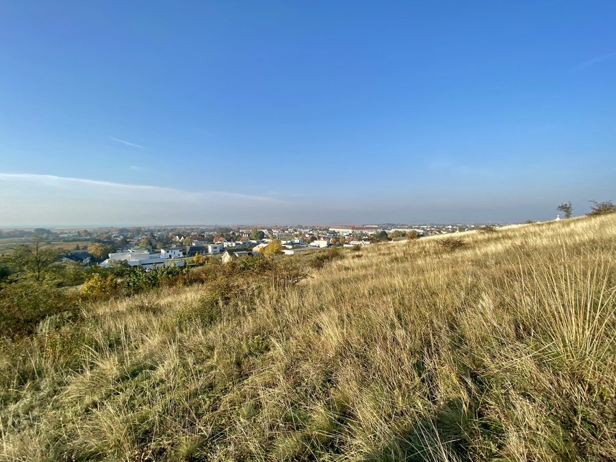 View from Kalvarienberg to the town center of Neusiedl am See