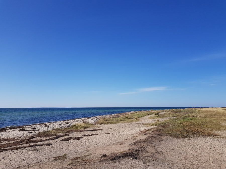 Beach on Fehmarn in the Krummsteert-Sulsdorfer Wiek nature conservation area