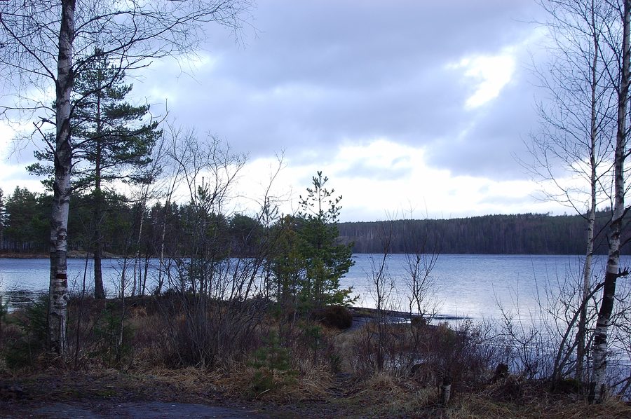 Gränssjön at Storviken in Glaskogen Nature Reserve