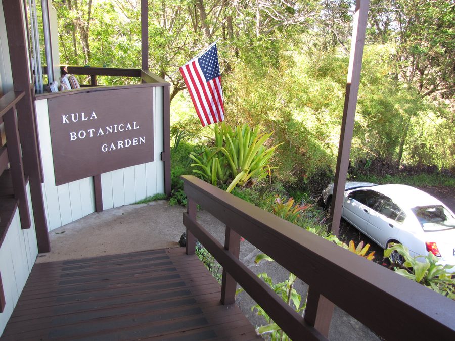 Plant collection with informational sign in the Kula Botanical Garden on Maui