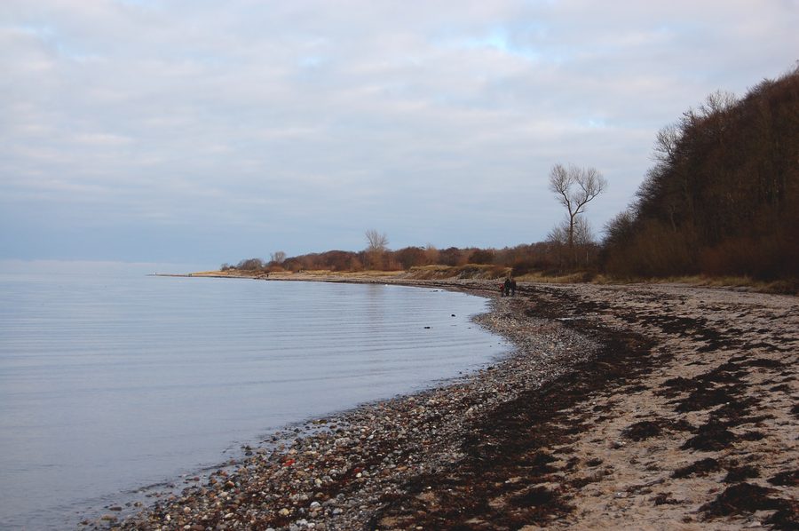 Steep coast near Noer on Eckernförde Bay
