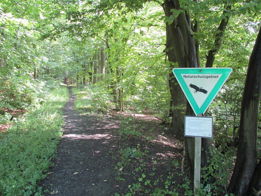 Edge of the Arnsberg Forest nature reserve near Niedereimer
