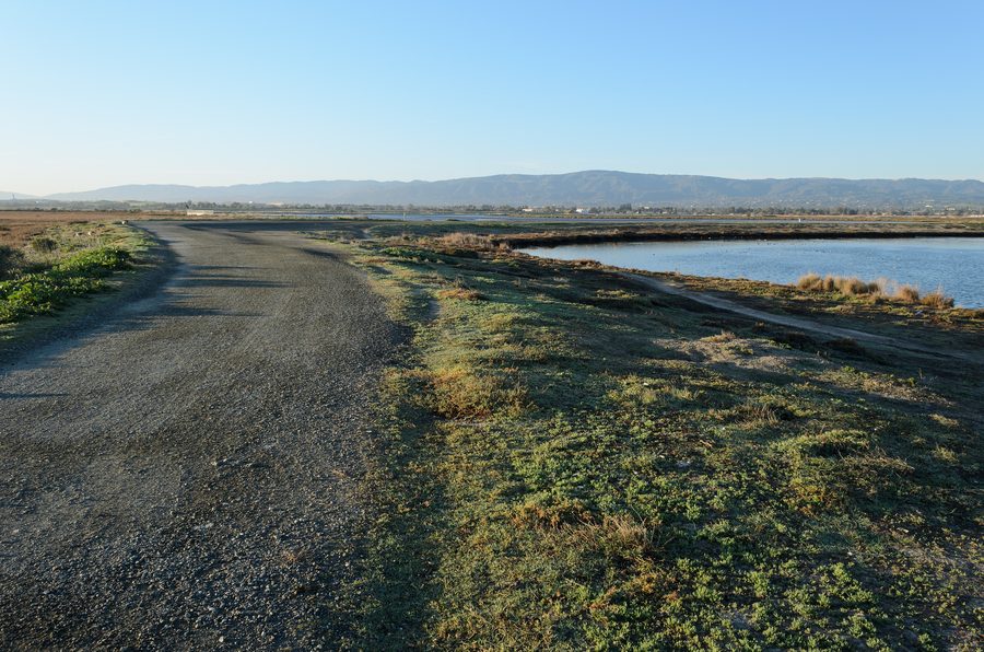 Baylands Nature Preserve in Palo Alto, California