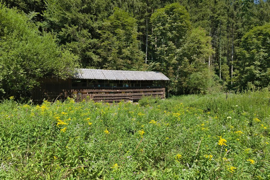 Weißenbach Valley near Reichraming in Upper Austria