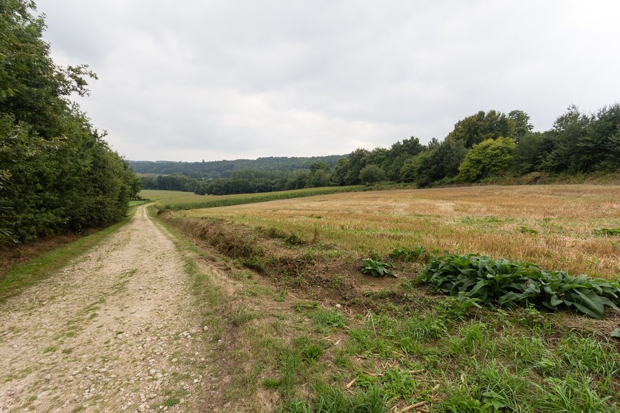 File:Les Courtillets, Guillac, France.jpg