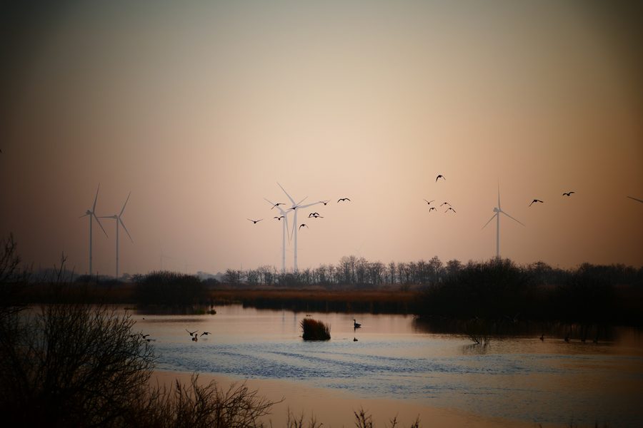 Landschaft am südlichen Rand der Lundener Niederung bei Rehm-Flehde-Bargen