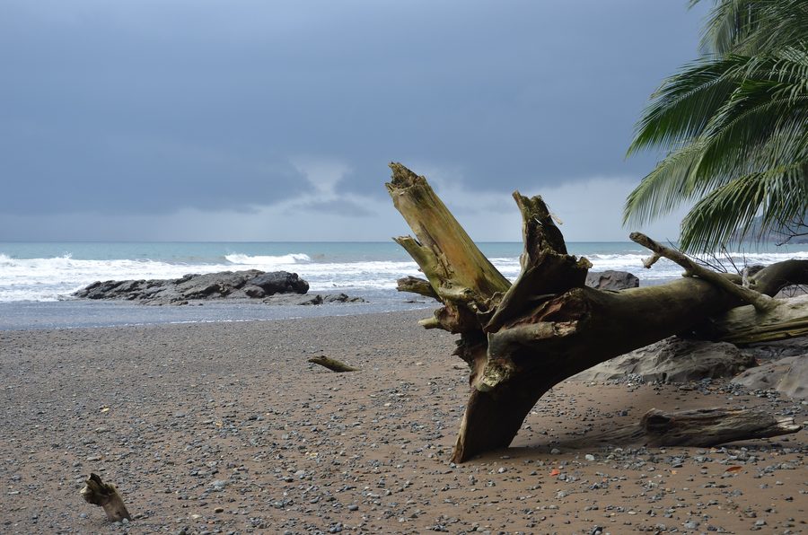 Coastal landscape in the PrÃncipe Biosphere Reserve