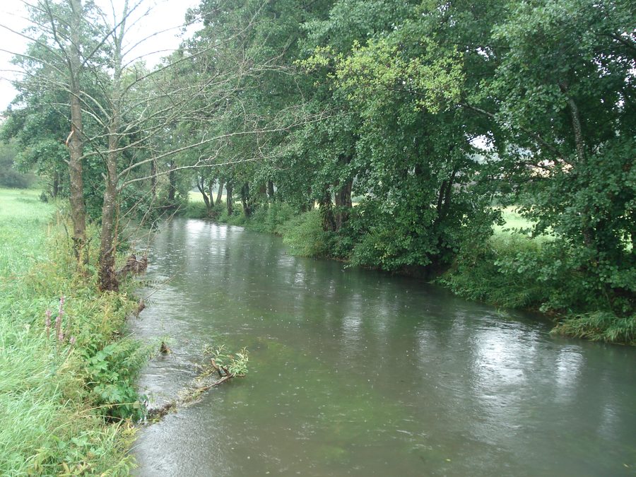 The Schwarze Laber near Parsberg