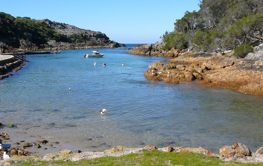 Kianinny Bay with a sheltered bay and coastal landscape near Tathra