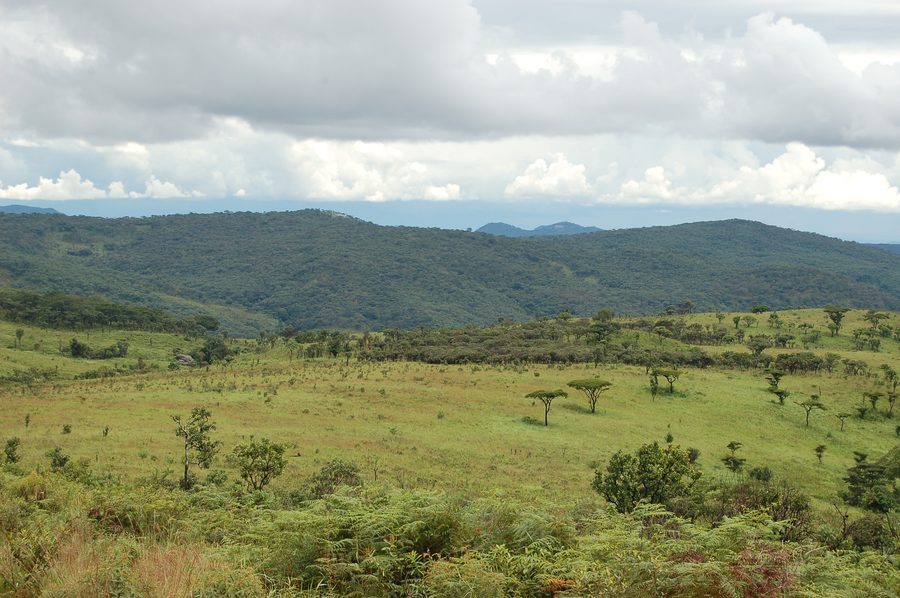 Nyika National Park in Malawi with expansive highland scenery