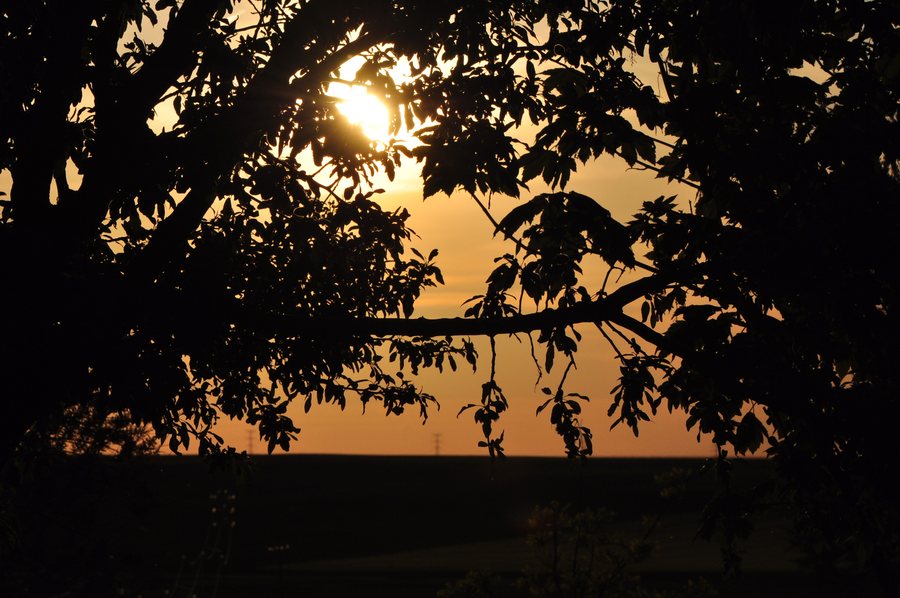 File:Ventosa de la Cuesta, atardecer.JPG