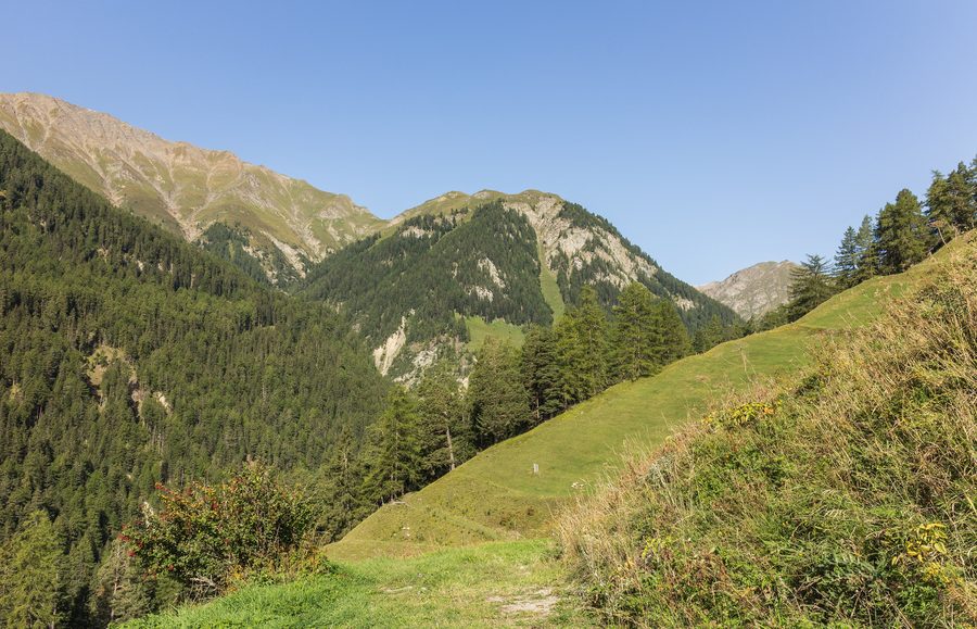 Alpine Landschaft und Umgebung von Vnà im Unterengadin
