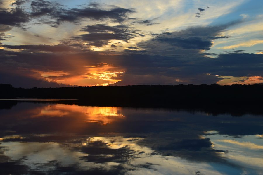 River and forest landscape at sunset in Jaú National Park, Amazonas.