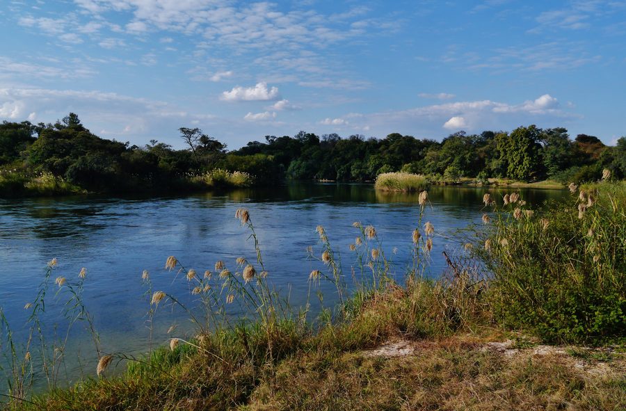 Grüne Flusslandschaft am Okavango im Kavango-Gebiet Namibias